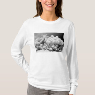 Camiseta casa de Florida Keys y sus palmeras, EE. UU. 2