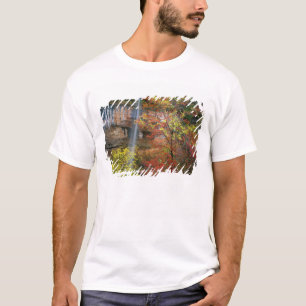 Camiseta Cascada, arce de dientes grandes Acer