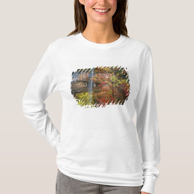 Camiseta Cascada, arce de dientes grandes Acer (Anverso)