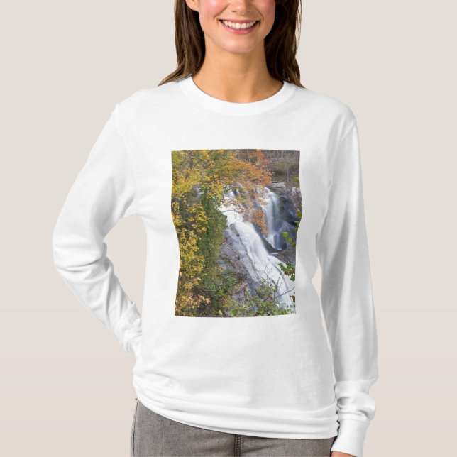Camiseta Cascada Bald River (Anverso)
