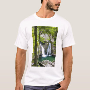 Camiseta Cascada Bish Bash en el Parque Estatal Bish Bash F