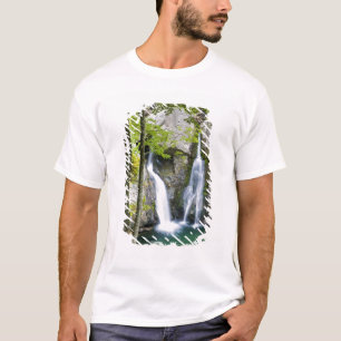 Camiseta Cascada Bish Bash en el Parque Estatal Bish Bash F