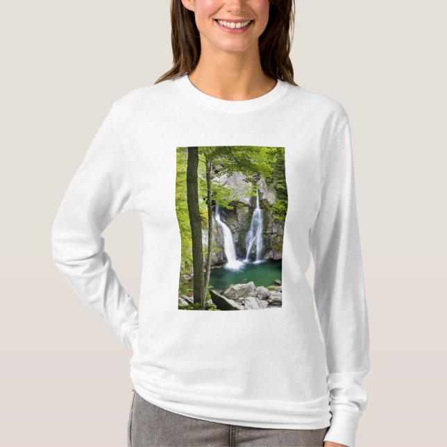 Camiseta Cascada Bish Bash en el Parque Estatal Bish Bash F (Anverso)