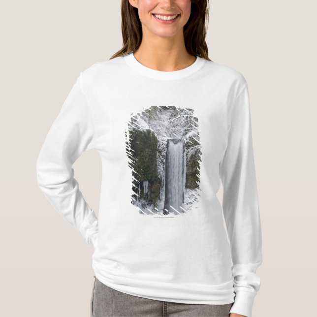Camiseta Cascada borrosa rodeada por un bosque Nevado (Anverso)