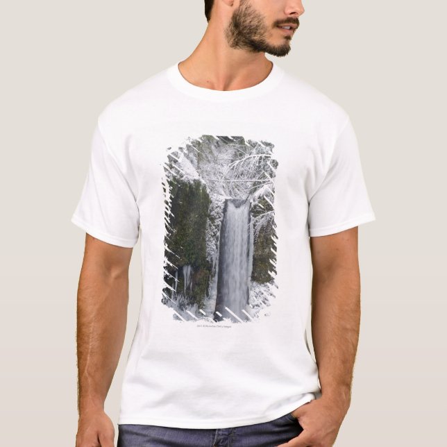 Camiseta Cascada borrosa rodeada por un bosque Nevado (Anverso)