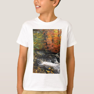 Camiseta Cascada de otoño