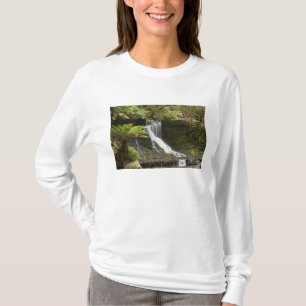 Camiseta Cascada Horseshoe, Parque Nacional Mount Field,