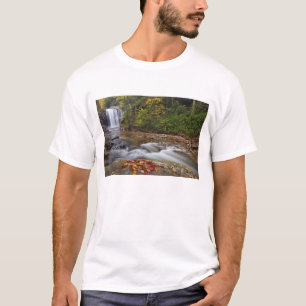 Camiseta Cascada Looking Glass en el Pisgah National