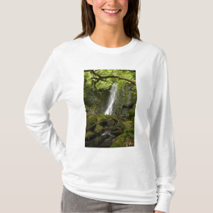 Camiseta Cascada Matai, Catlins, South Otago