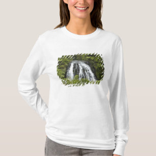 Camiseta Cascada Owharoa, desfiladero de Karangahake, cerca