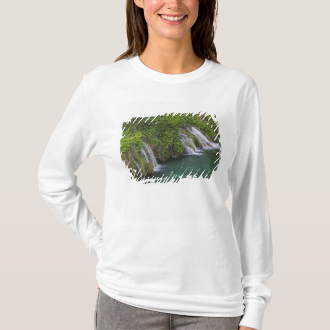 Camiseta Cascada, Parque Nacional Lagos de Plitvice y (Anverso)
