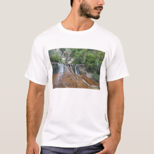 Camiseta Cascada, Parque Nacional Zion, Utah, EE. UU.