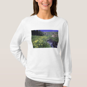 Camiseta Cascada y flores silvestres en prado alpino, 2