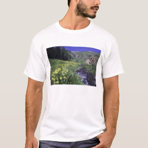 Camiseta Cascada y flores silvestres en prado alpino, 2
