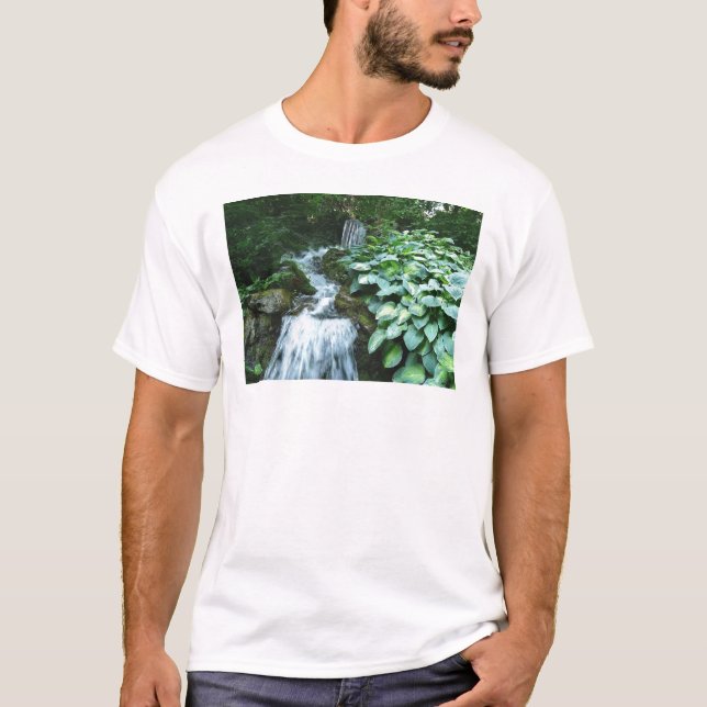 Camiseta Cascada y Hostas (Anverso)