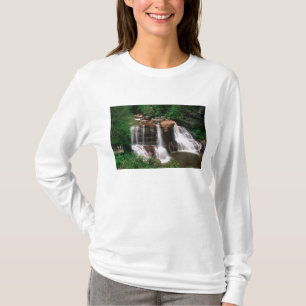 Camiseta Cascadas de Blackwater, Virginia Occidental, pinto