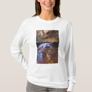 Camiseta Cascadas del Arcángel en la bifurcación izquierda