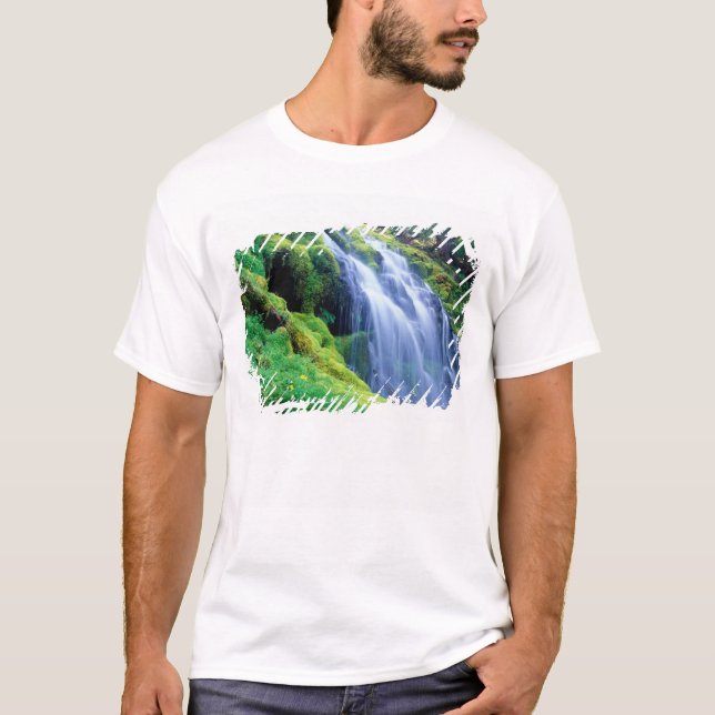 Camiseta Cascadas Proxy en las Cascadas centrales de Oregón (Anverso)