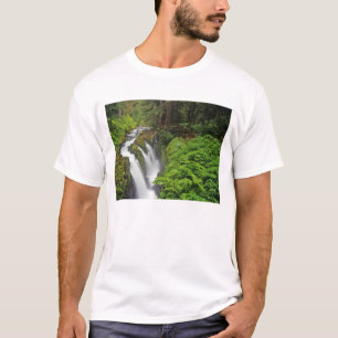 Camiseta Cascadas Sol Duc en el Parque Nacional Olímpico en