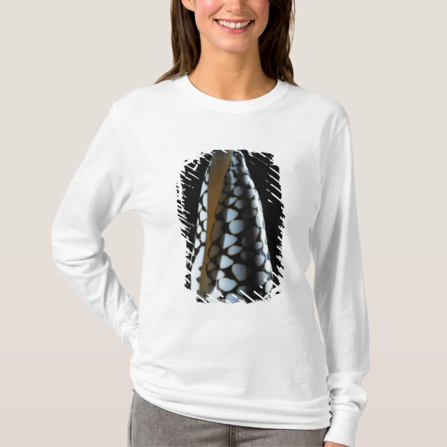 Camiseta Cáscara 2 del cono (Anverso)