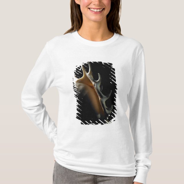 Camiseta Cáscara de la concha (Anverso)