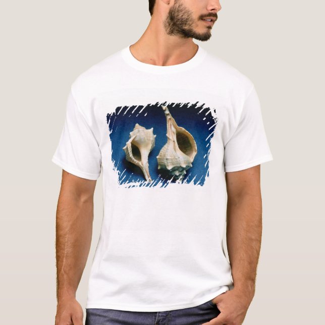 Camiseta Cáscara del Murex (Anverso)