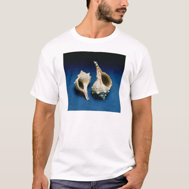 Camiseta Cáscara del Murex (Anverso)