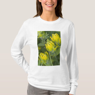 Camiseta Castilleja dorada india