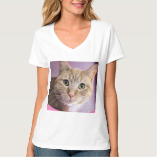 Camiseta Cat