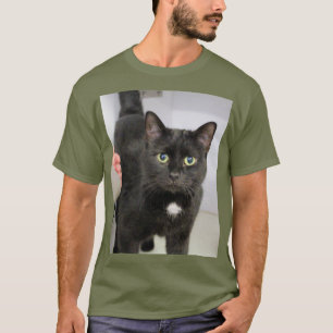Camiseta Cat