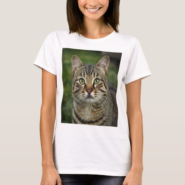 Camiseta Cat (Anverso)