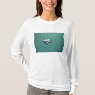 Camiseta Catamarán, Islas Mamanuca, Fiji, Pacífico Sur