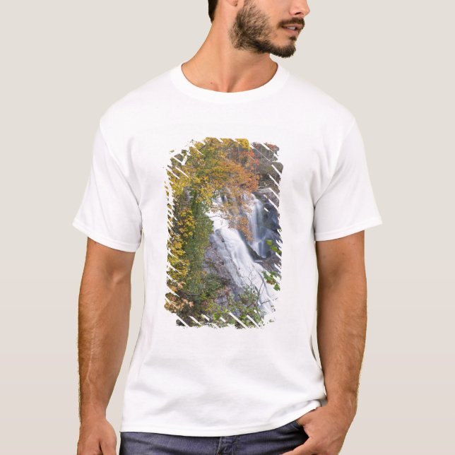 Camiseta Cataratas del río Bald (Anverso)