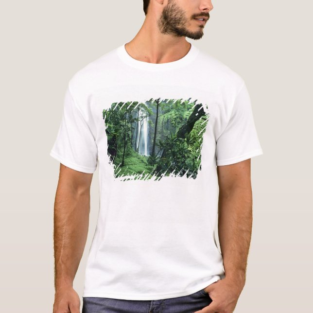 Camiseta Cataratas Hanakapiai a lo largo de la costa de Na  (Anverso)