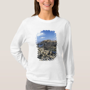 Camiseta Causey de los Gigantes, Condado de Antrim, Norte