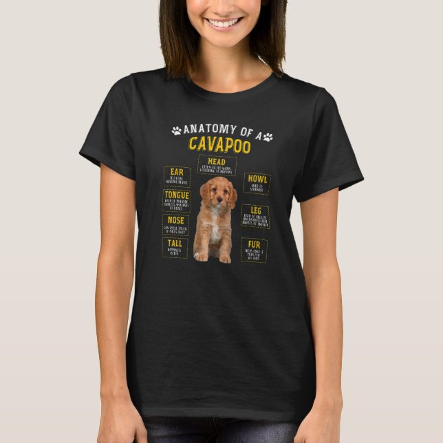 Camiseta Cavapoo De Anatomía Para Hombres (Anverso)