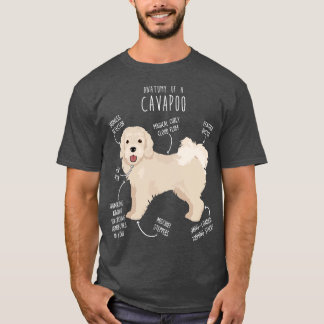 Camiseta Cavapoo Perro Anatomía 1