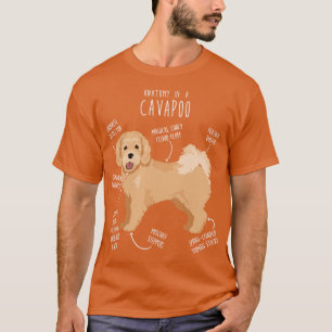 Camiseta Cavapoo Perro Anatomía 6