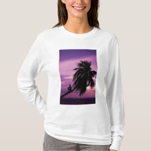 Camiseta Cayo Ambergris, Belice, Centroamérica.