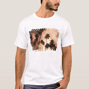 Camiseta Cayo Ambergris, Belice, Centroamérica. 2
