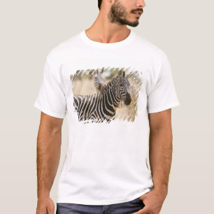 Camiseta Cebra en el Parque Nacional Meru, Kenia.