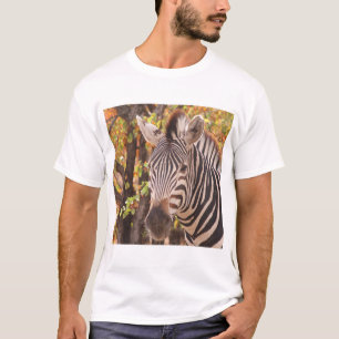 Camiseta Cebra en un bosque mopani