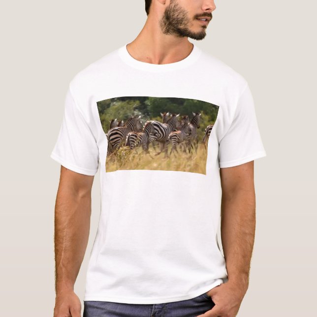 Camiseta Cebras en movimiento: Un viaje de mil millas (Anverso)