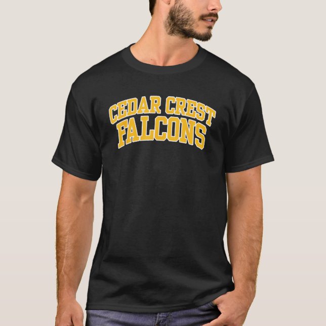 Camiseta Cedar Escudo College Falcons 01 (Anverso)