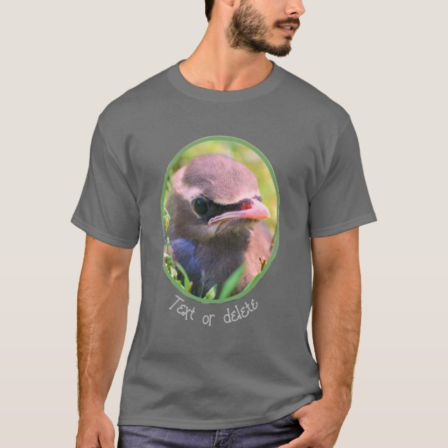 Camiseta Cedar Waxwing Fledglglgling Bird Personalizada (Anverso)