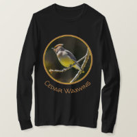 Cedar Waxwing Songbird Foto original de ave silves