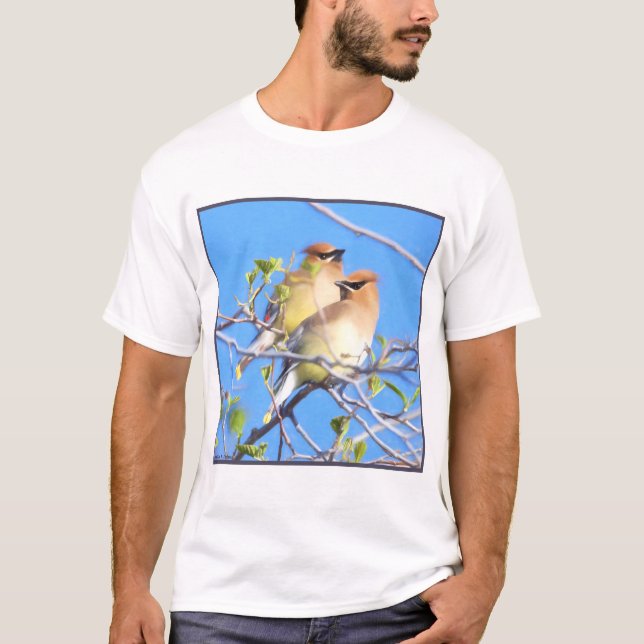 Camiseta Cedar Waxwings (Anverso)
