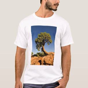 Camiseta Cedro solitario, Parque Estatal Deadhorse Point,