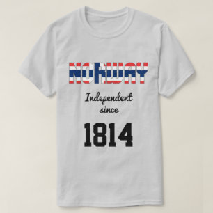 Camiseta Celebración de la independencia de la bandera de N