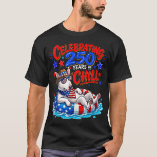 Camiseta Celebrando el 250 cumpleaños de la bandera estadou